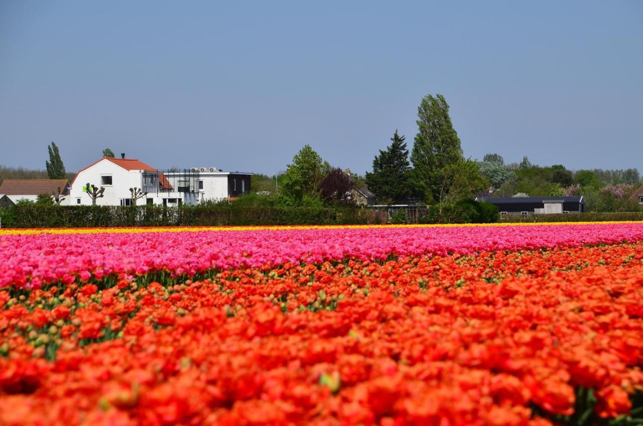 Wellness Bed&Breakfast Pergamo Voorhout Exterior foto